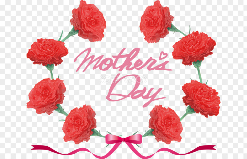 Mother's Day Carnation PNG