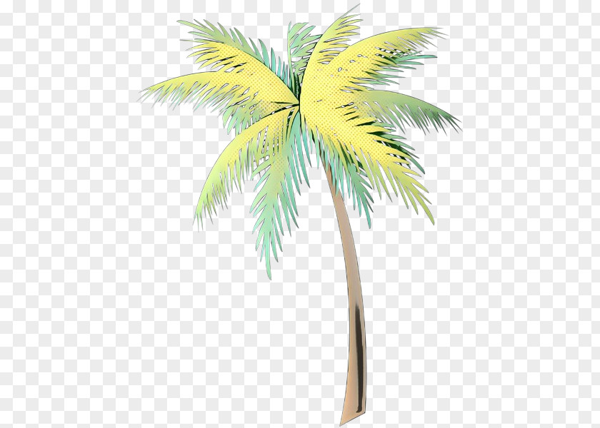 Asian Palmyra Palm Coconut Trees Date Leaf PNG