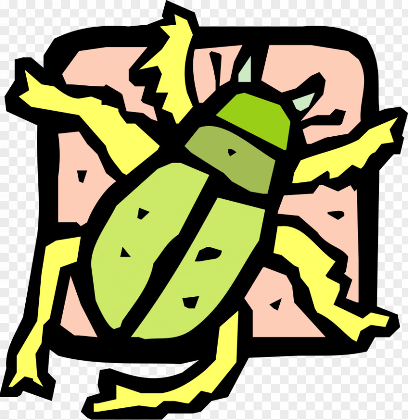 Beetle Clip Art Illustration Vector Graphics PNG