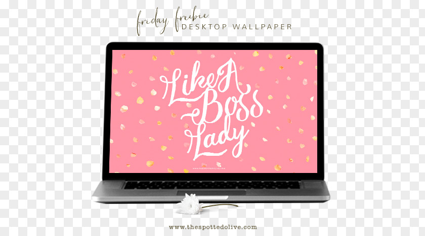 Boss Lady Desktop Wallpaper Computers Theme Environment Like A PNG