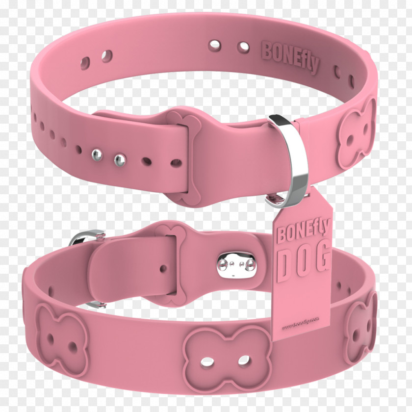 Dog Collar Belt PNG