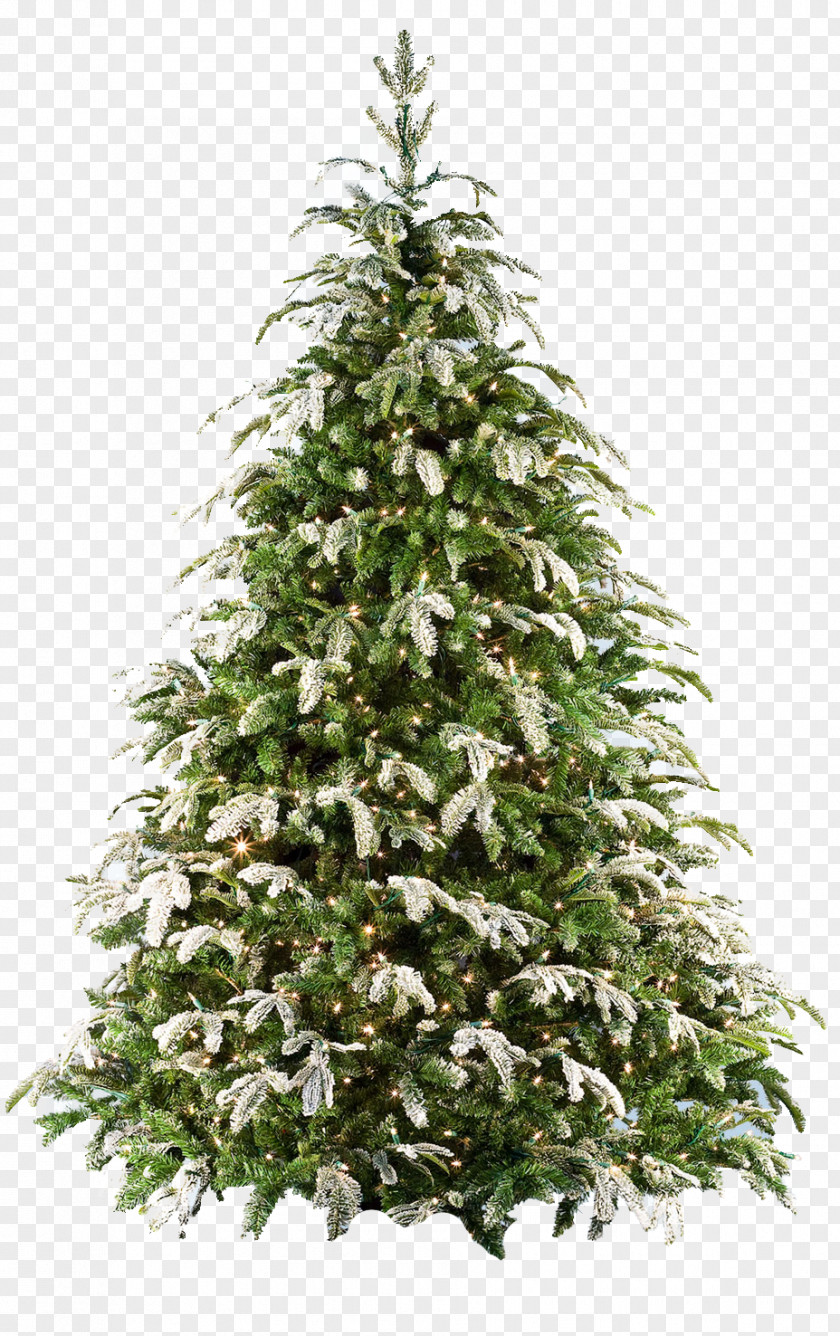 Fir-tree Fraser Fir Artificial Christmas Tree PNG