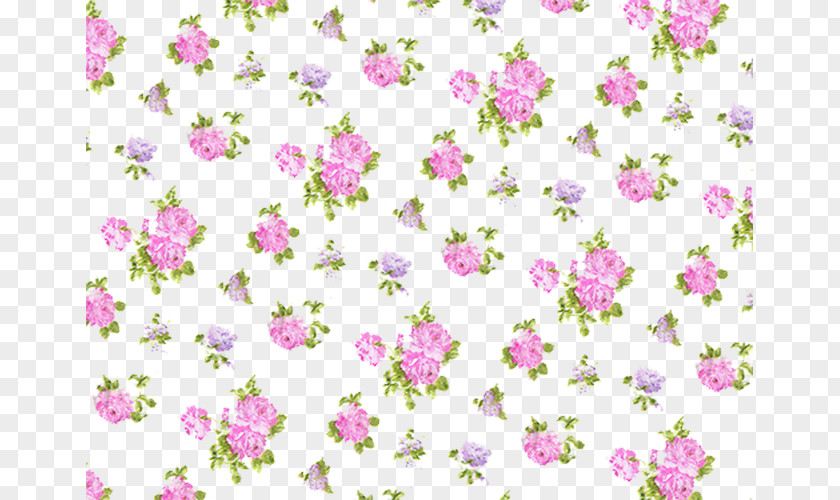 Flower Wallpaper Paper Floral Design PNG