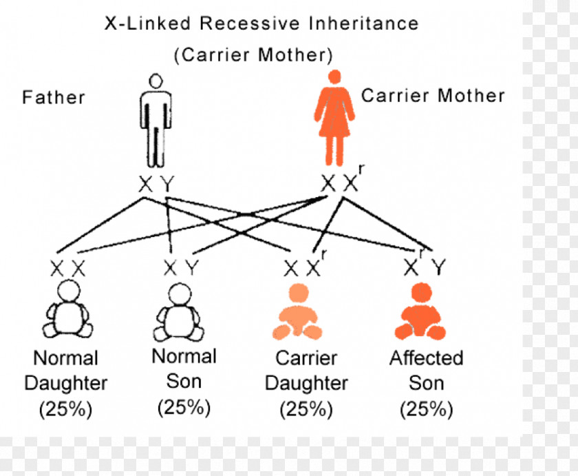 Mendelian Pattern Of Inheritance Retinitis Pigmentosa Retina Alt Attribute Intravitreal Administration PNG