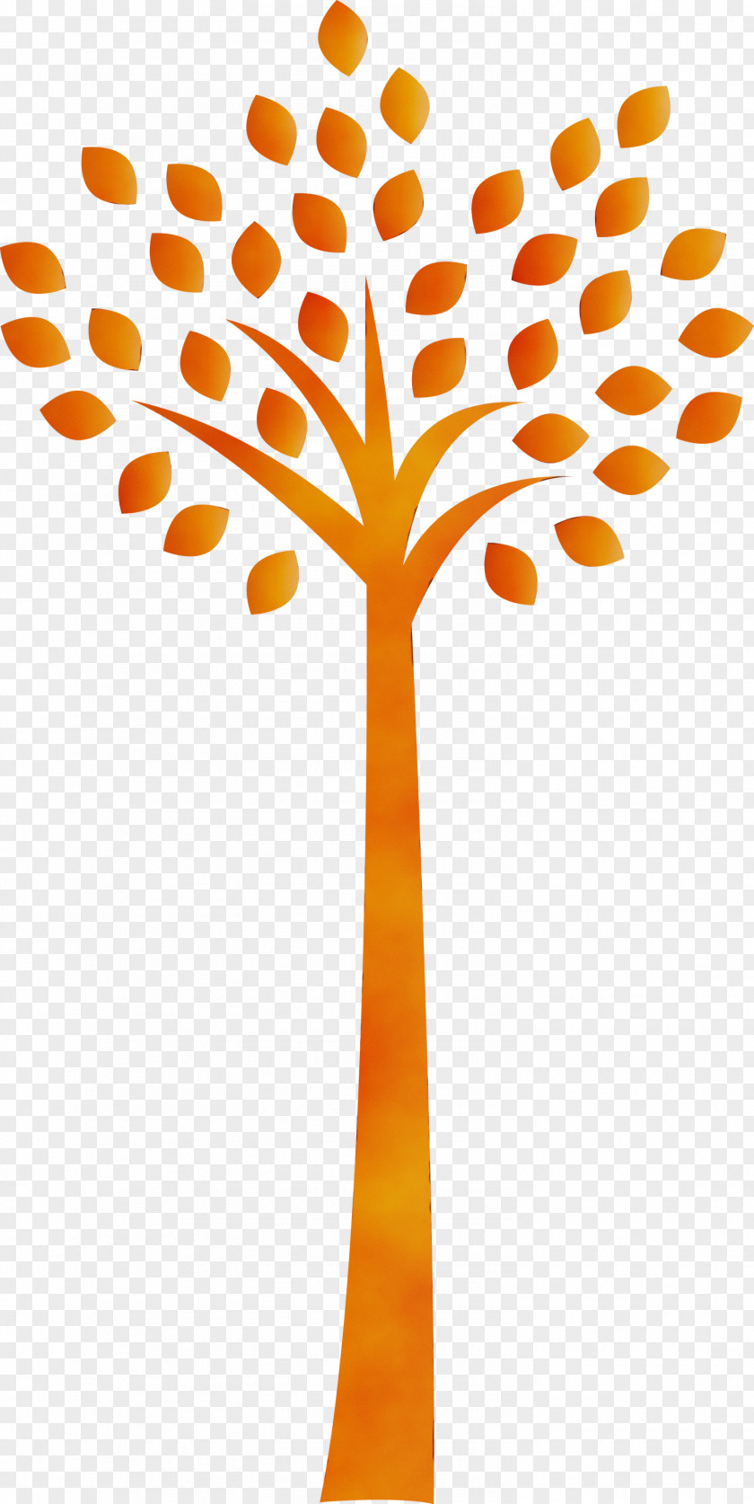 Orange PNG