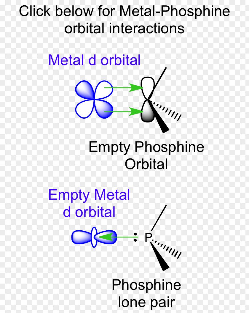 Pi Backbonding Metal Phosphine Complex Molecular Orbital Atomic PNG