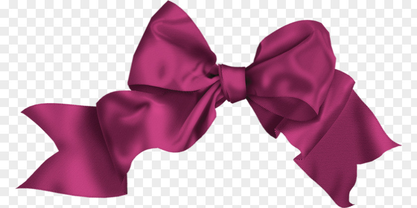 Scraps Ribbon Bow Tie Necktie Shoelace Knot PNG