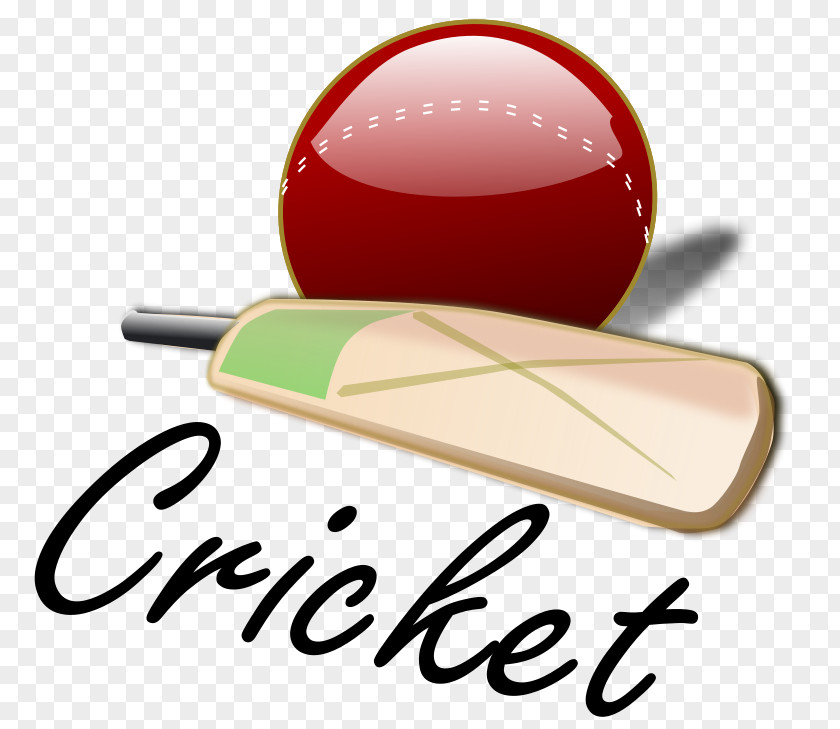 Shooting Sports Cliparts Cricket Umpire Bat Clip Art PNG