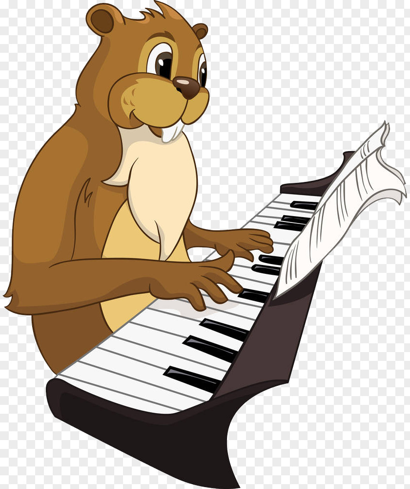 A Rabbit Playing The Score Piano Cartoon Illustration PNG