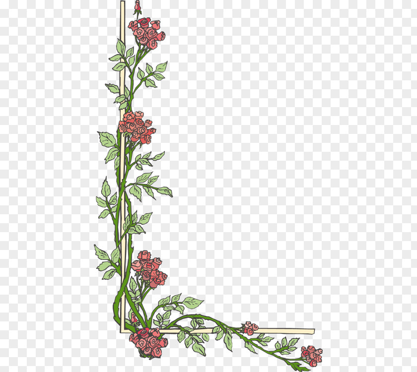 Flower Border Flowers Clip Art PNG