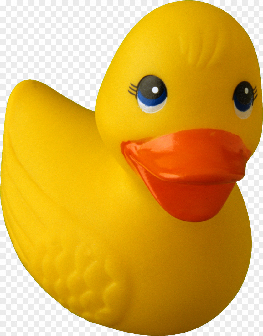 Free Rubber Duck Debugging Clip ArtDuck Ducky PNG