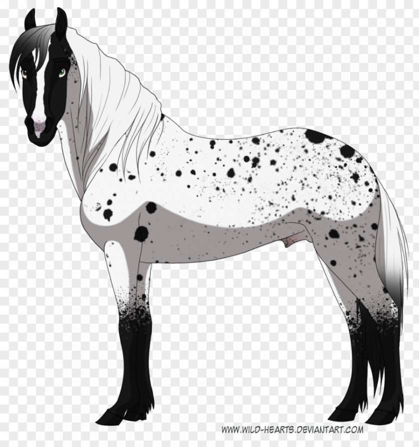 Silver Dots Mustang Stallion Mare Halter Dog PNG