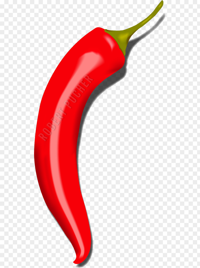 Chilli Hot Tabasco Pepper Close Up GmbH Cayenne PNG