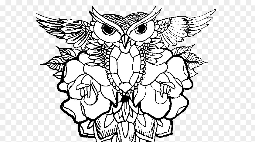 Color Owl Little Drawing Coloring Book PNG