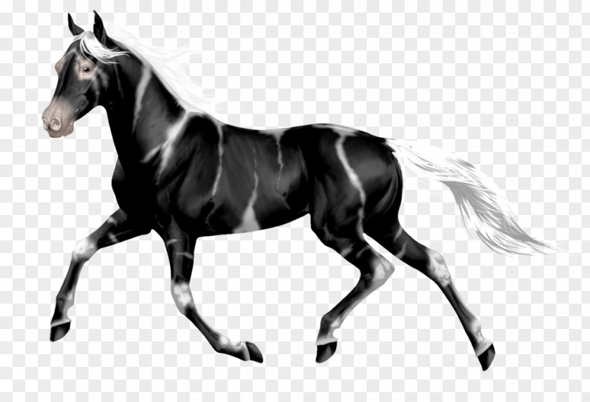 Digital Markings Mustang Stallion Mare Wild Horse Rein PNG