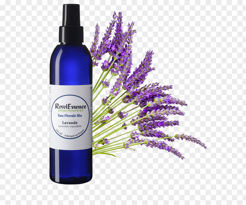 Oil English Lavender Essential Provence PNG