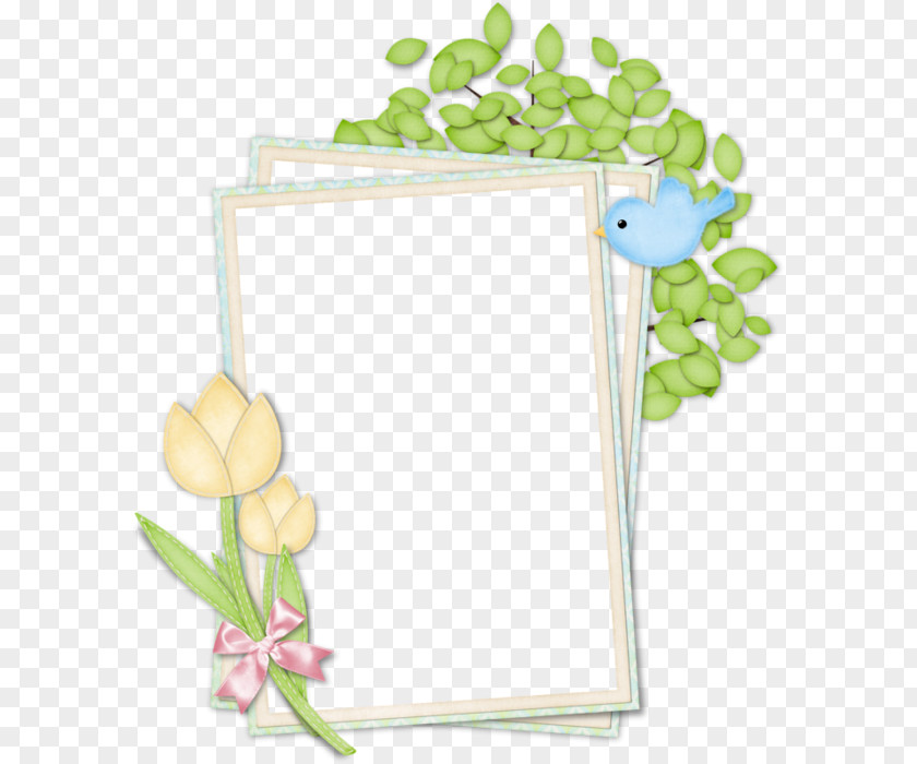 Picture Frames Photography Tableau PNG