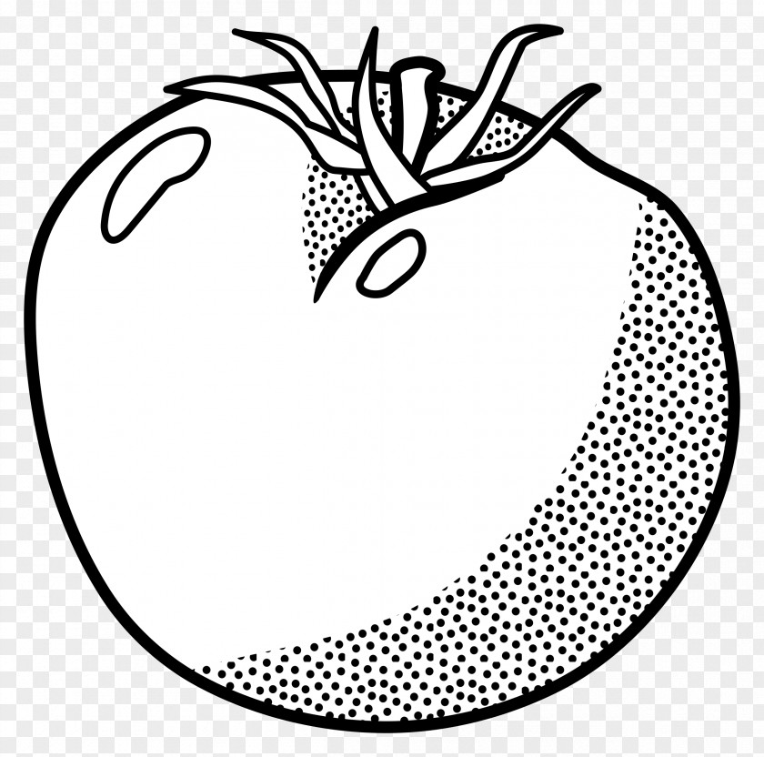Tomato Coloring Book Drawing Line Art Clip PNG