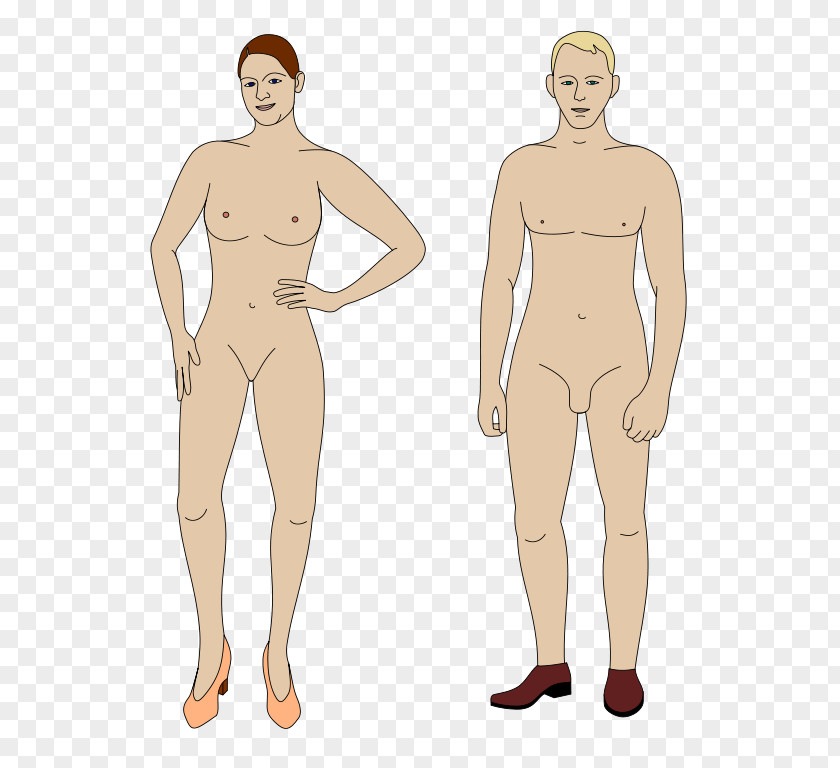 Female Male Trans Man Disease PNG