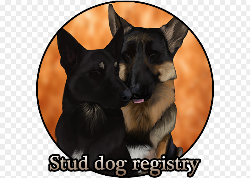 Italian Kennel Club German Shepherd Australian Kelpie Dog Breed Snout PNG