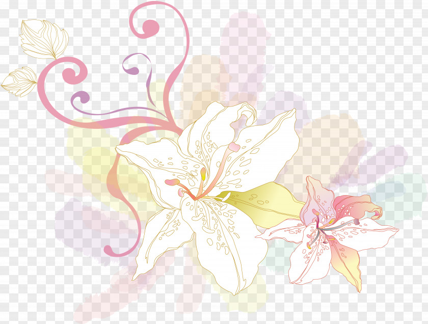 Lily Cut Flowers Floral Design PNG