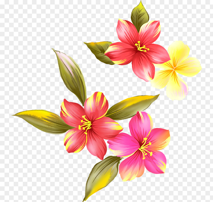 Creative Floral Watercolor Flowers Ps Flower Painting PNG