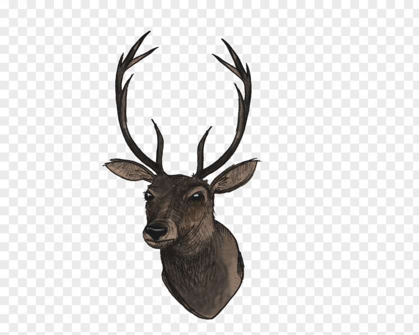 Deer Head File Reindeer Clip Art PNG