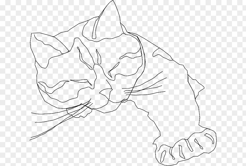 Face Closeup Cat Line Art Drawing Clip PNG