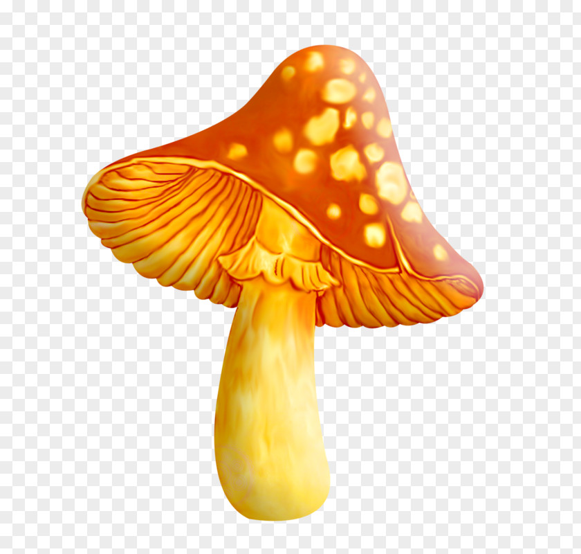 Mushroom Common Clip Art PNG