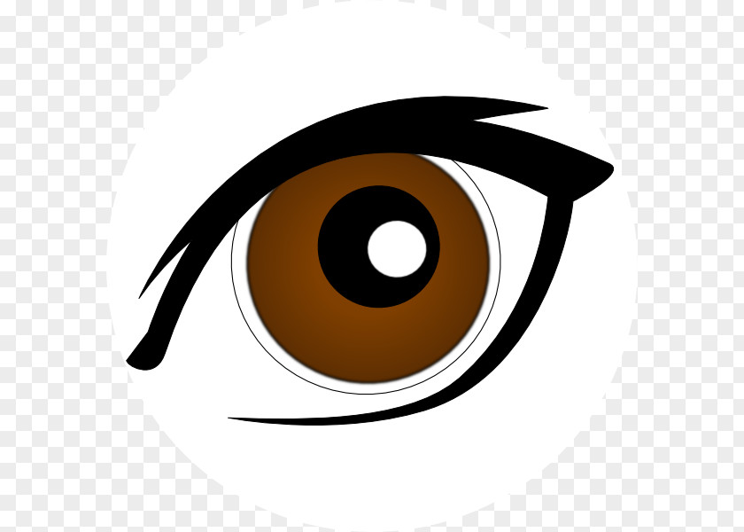 Peeking Eyes Cliparts Human Eye Eyebrow Clip Art PNG