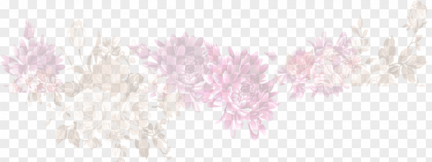 Pink Chrysanthemum White Peony Petal Textile Pattern PNG