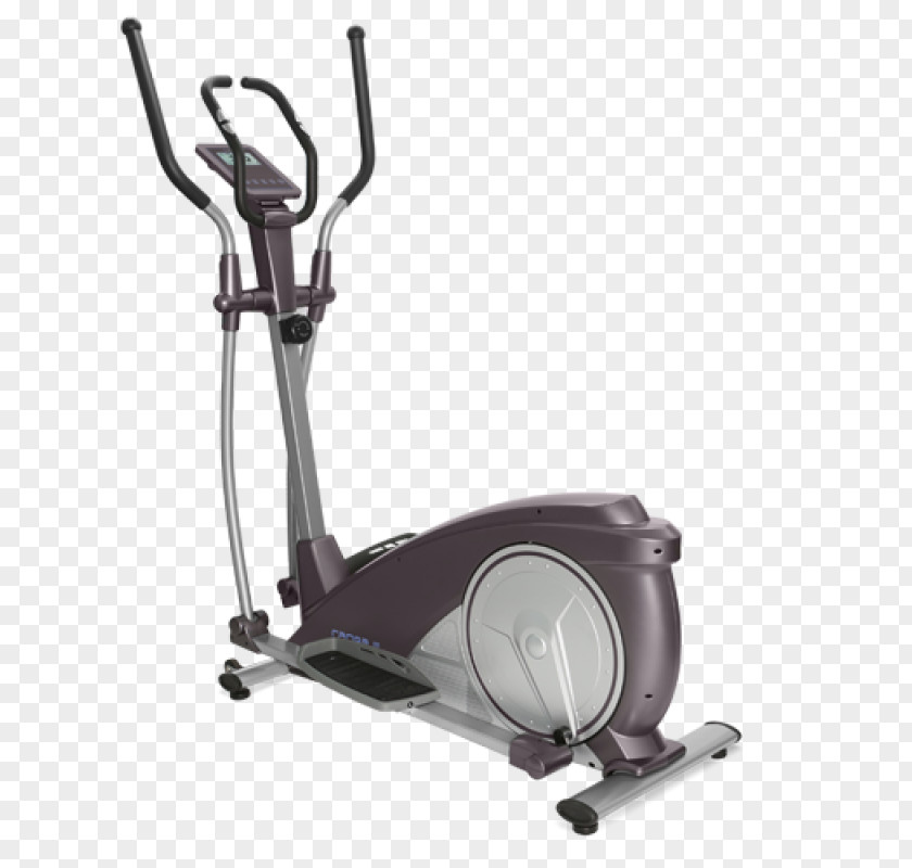 Pygocentrus Cariba Elliptical Trainers Exercise Machine Physical Fitness Cariba, оптово-торговая компания Centre PNG