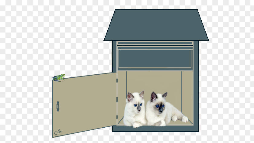 Cat Furniture Pet Supply Dog And PNG