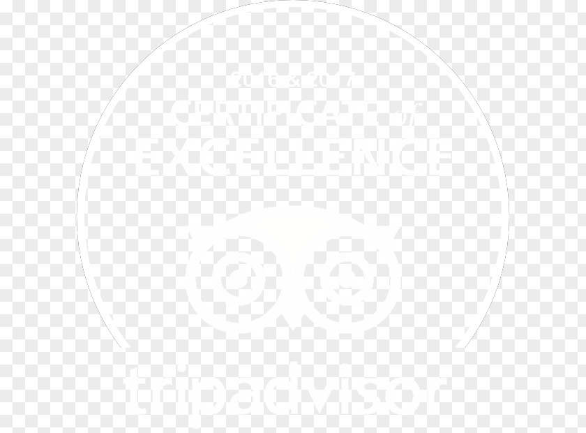 Design White PNG