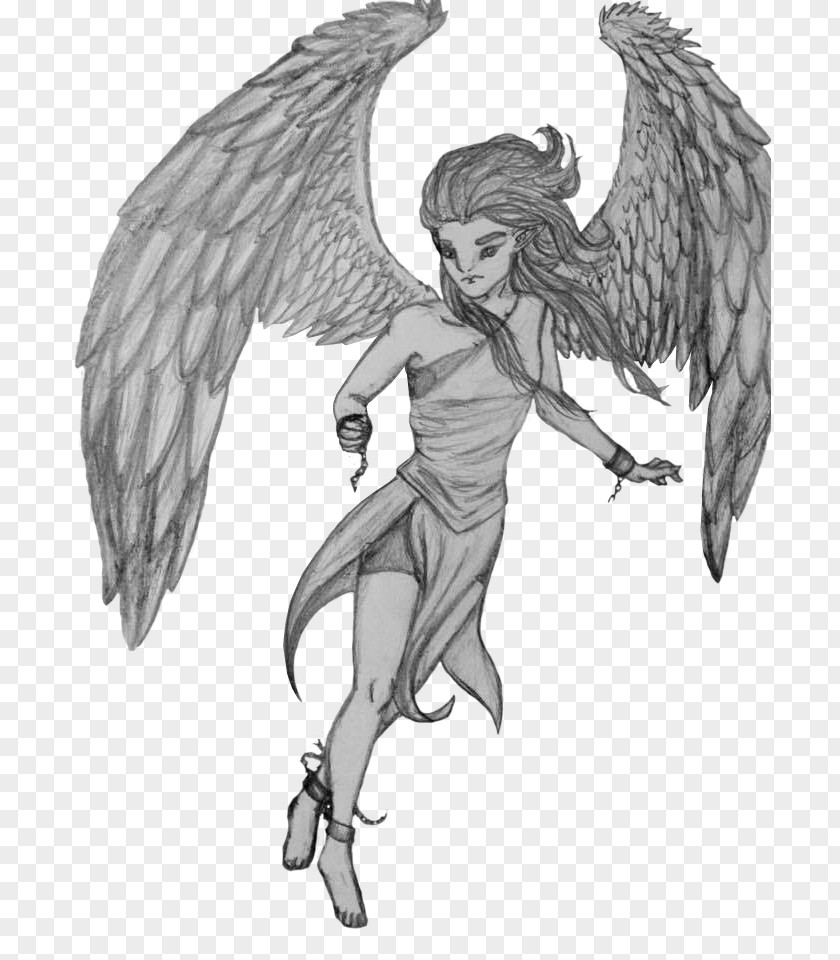 Fairy Bird Of Prey Mythology Demon PNG