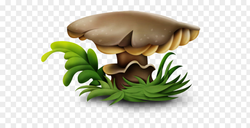 Garden Center Lingzhi Mushroom Fungus Clip Art PNG