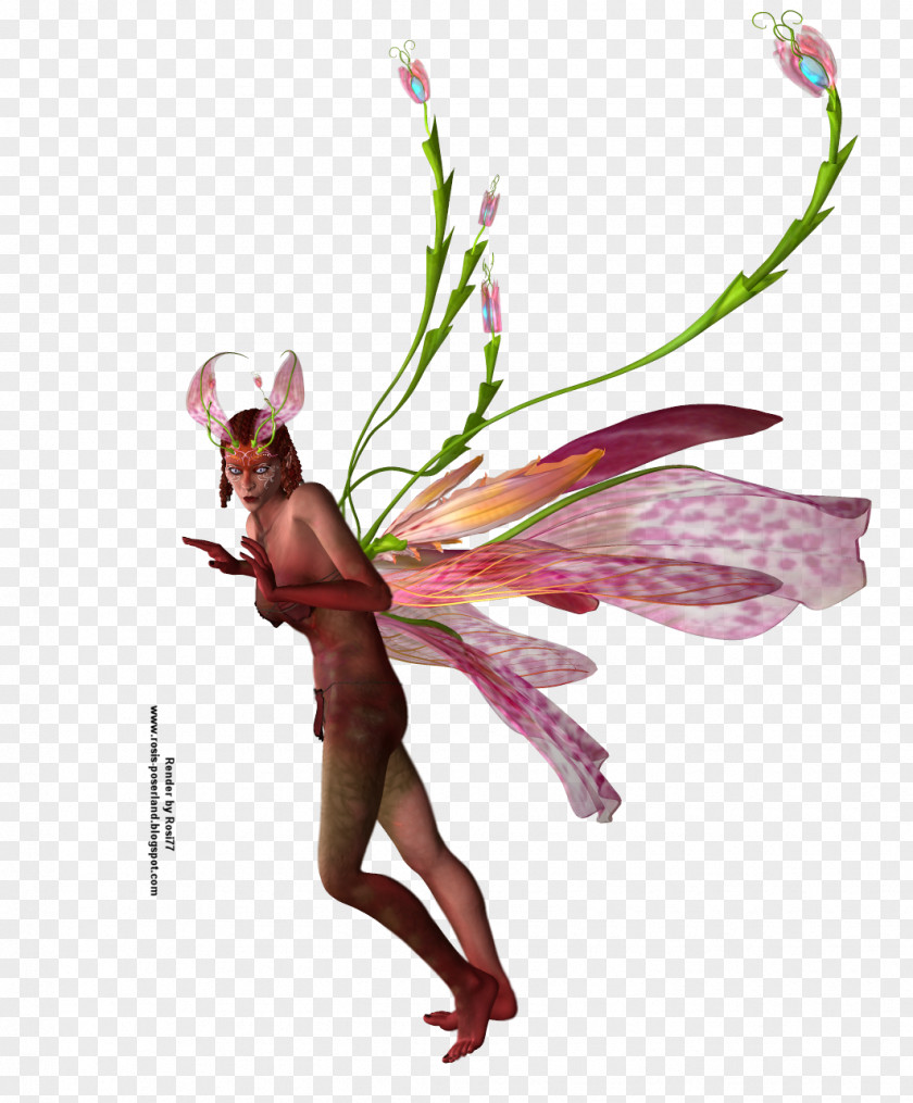 Insect Fairy Flower Illustration Pollinator PNG