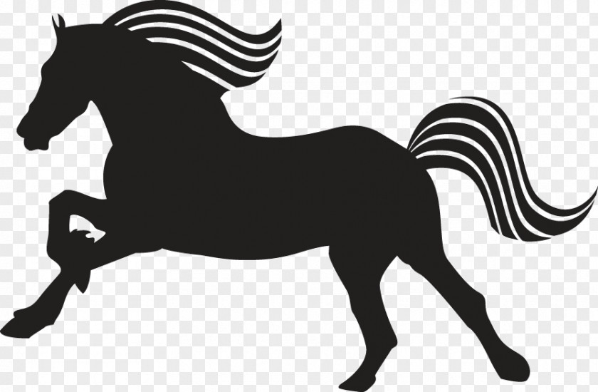 Mustang Friesian Horse Arabian Peruvian Paso Appaloosa PNG