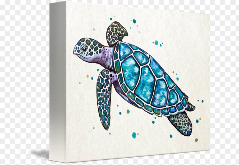 Turtle Sea Art Watercolor Painting PNG