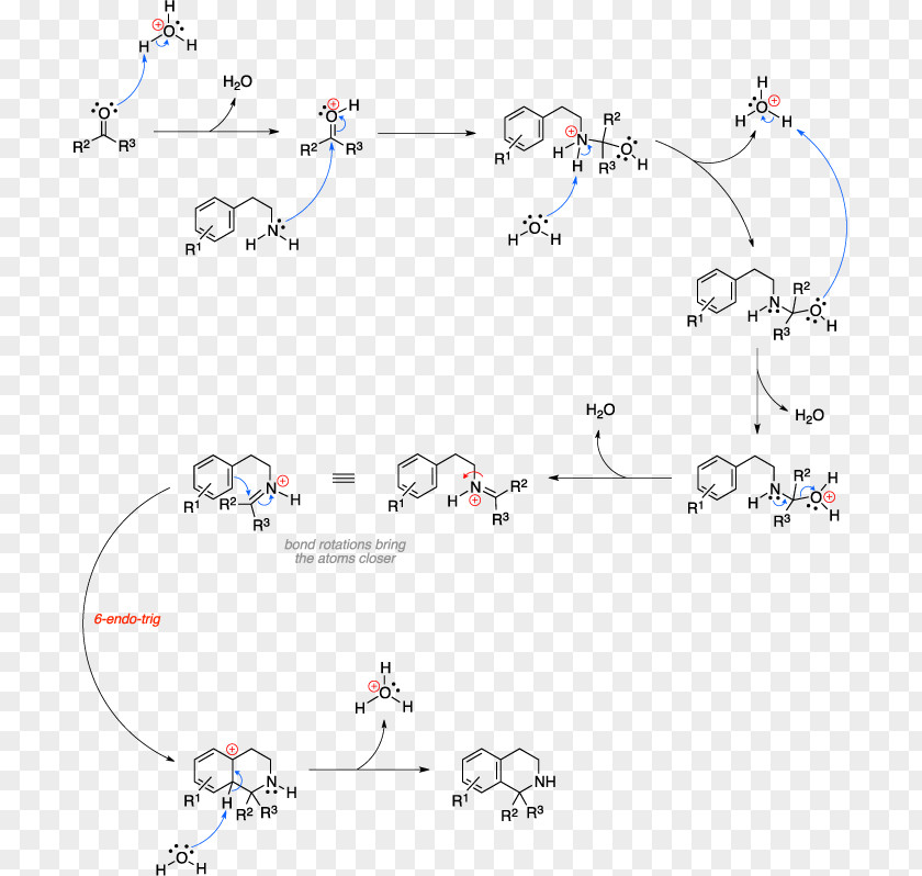 Biginelli Reaction Pictet–Spengler Isoquinoline Organic Chemistry Chemical Synthesis PNG