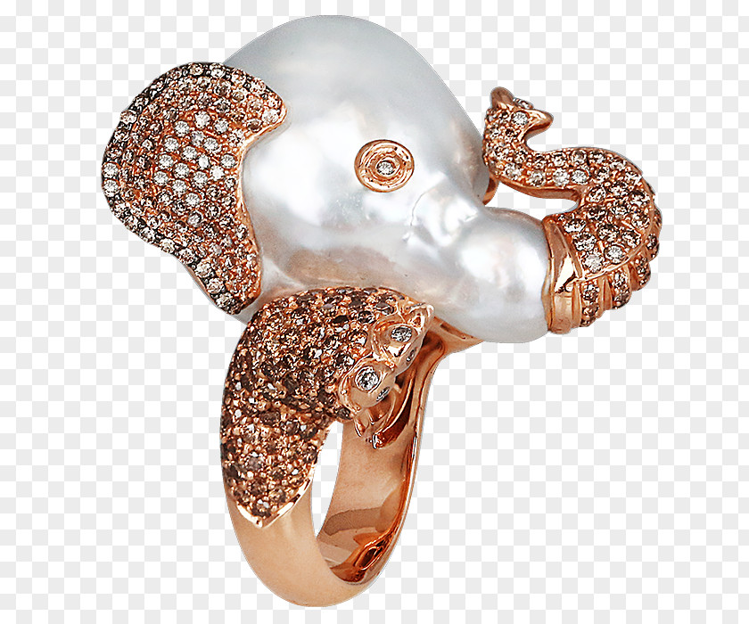 Birdcage By Octopus Artis Body Jewellery Clothing Accessories Gemstone Brooch PNG