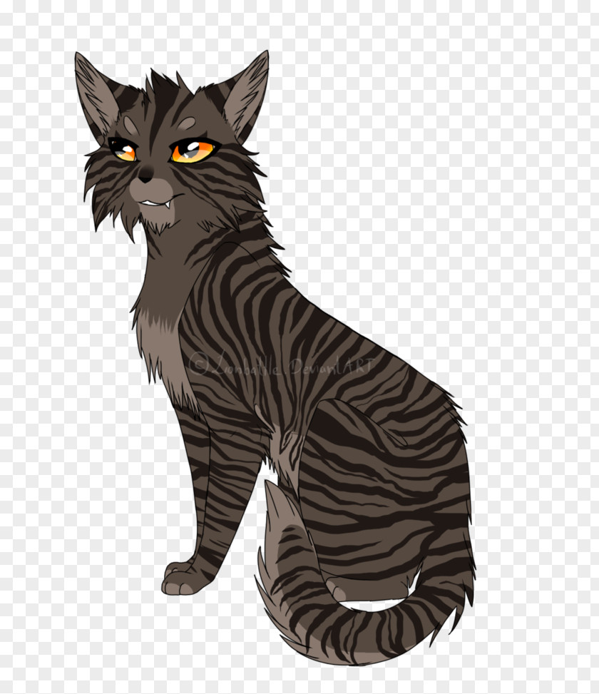 Kitten Whiskers Maine Coon California Spangled Toyger PNG