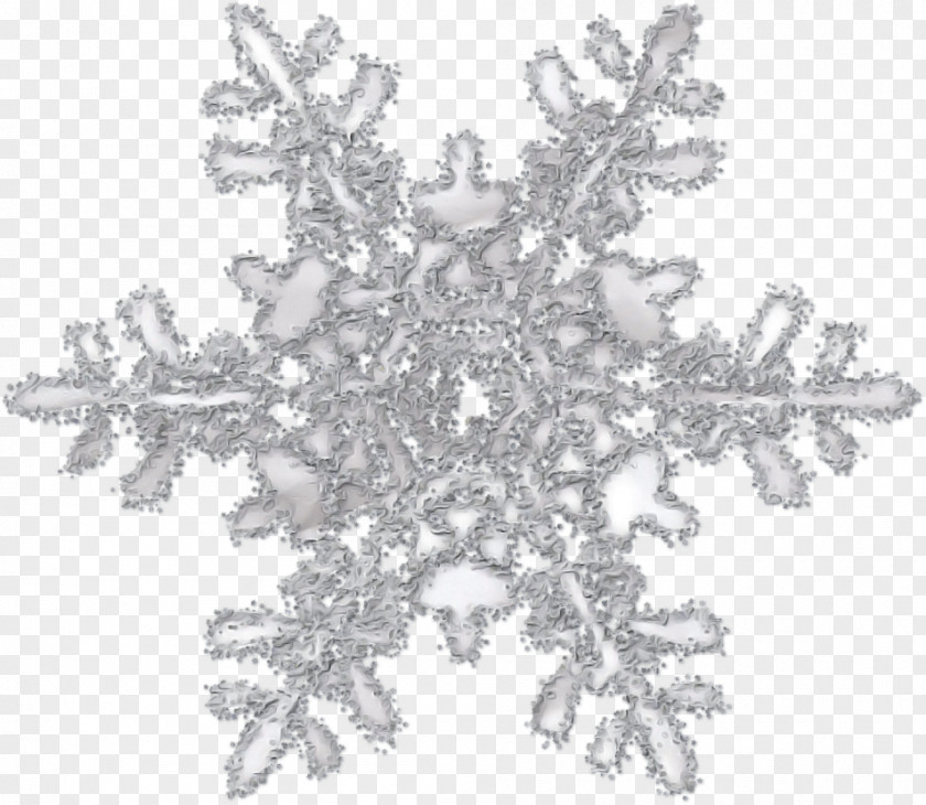 Metal Crystal Snowflake PNG