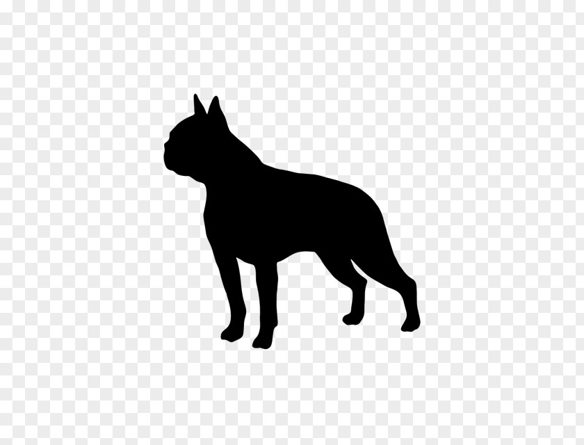 French Bulldog Boston Terrier Border Collie Golden Retriever Chinese Crested Dog Bedlington PNG