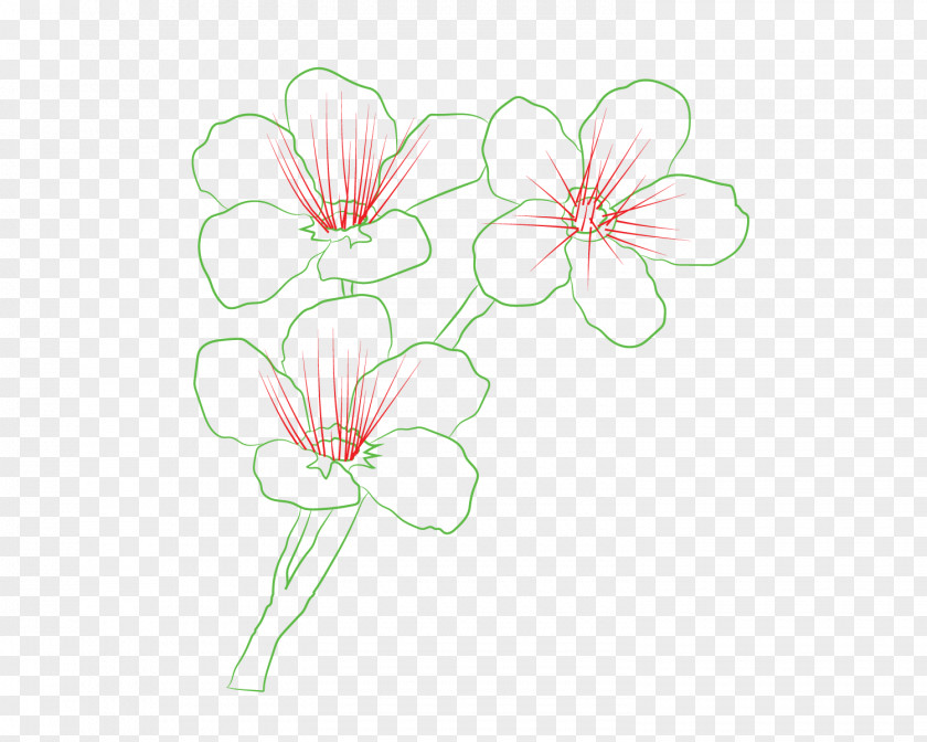 How To Draw A Queen Floral Design Cut Flowers Plant Stem PNG