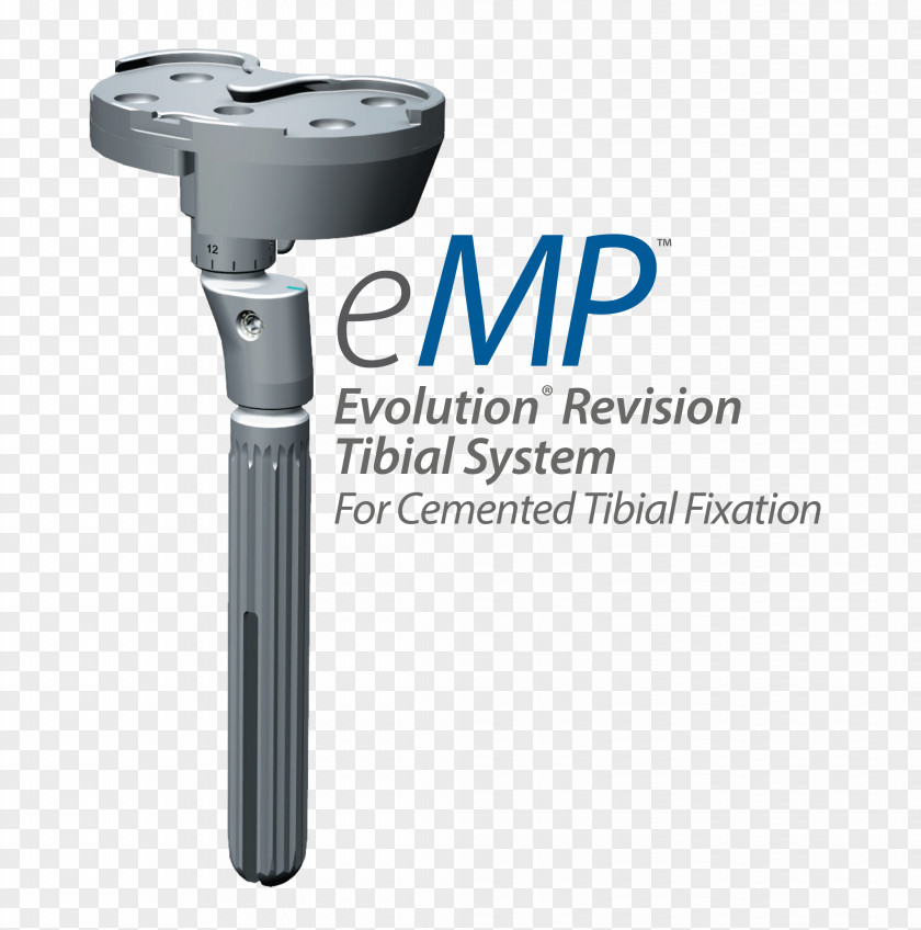 Knee Tibia Medial Collateral Ligament Joint Orthopedic Surgery PNG