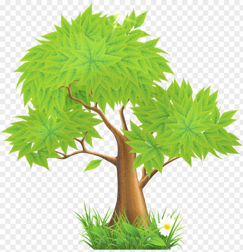 Summer Vector Cartoon Painted Clip Art Openclipart Tree Free Content PNG
