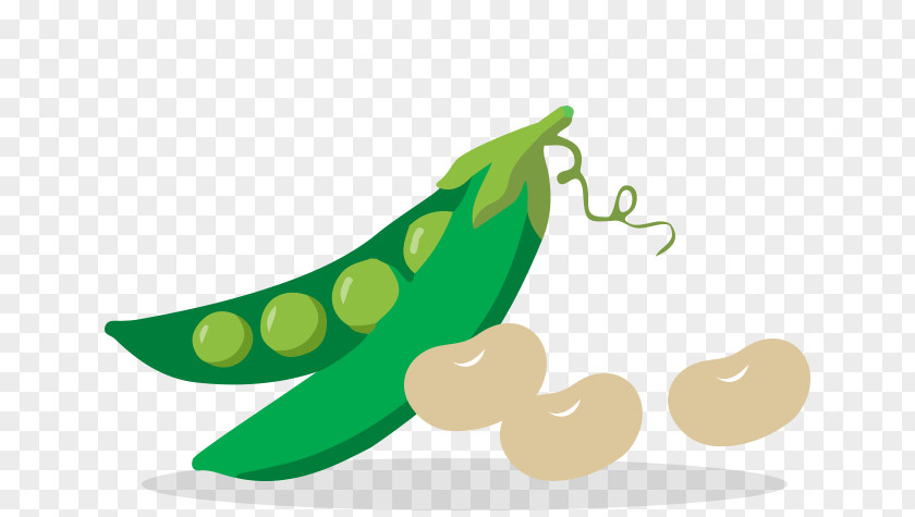 Beans Vejitble Leaf Vegetable Fruit Clip Art PNG