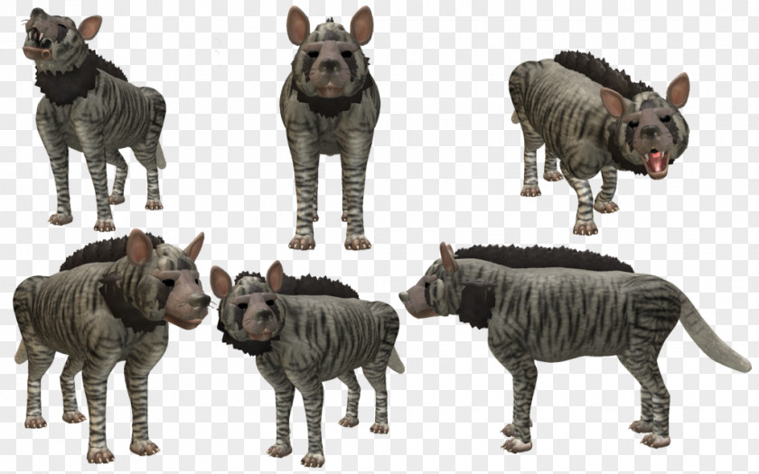 Hyenas Striped Hyena Cattle Wildlife Animal Species PNG