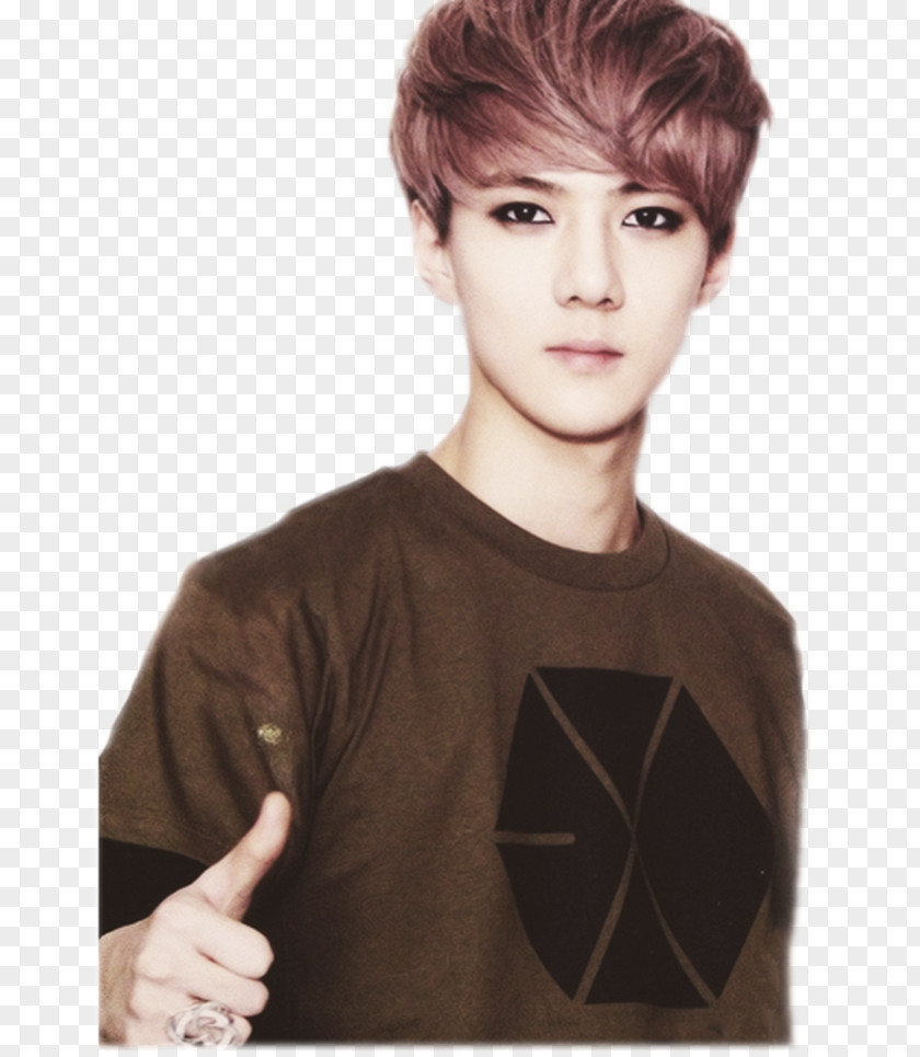 K Song EXO Dancer Baby Art Sehun PNG